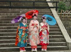 Geisha: Description et Histoire